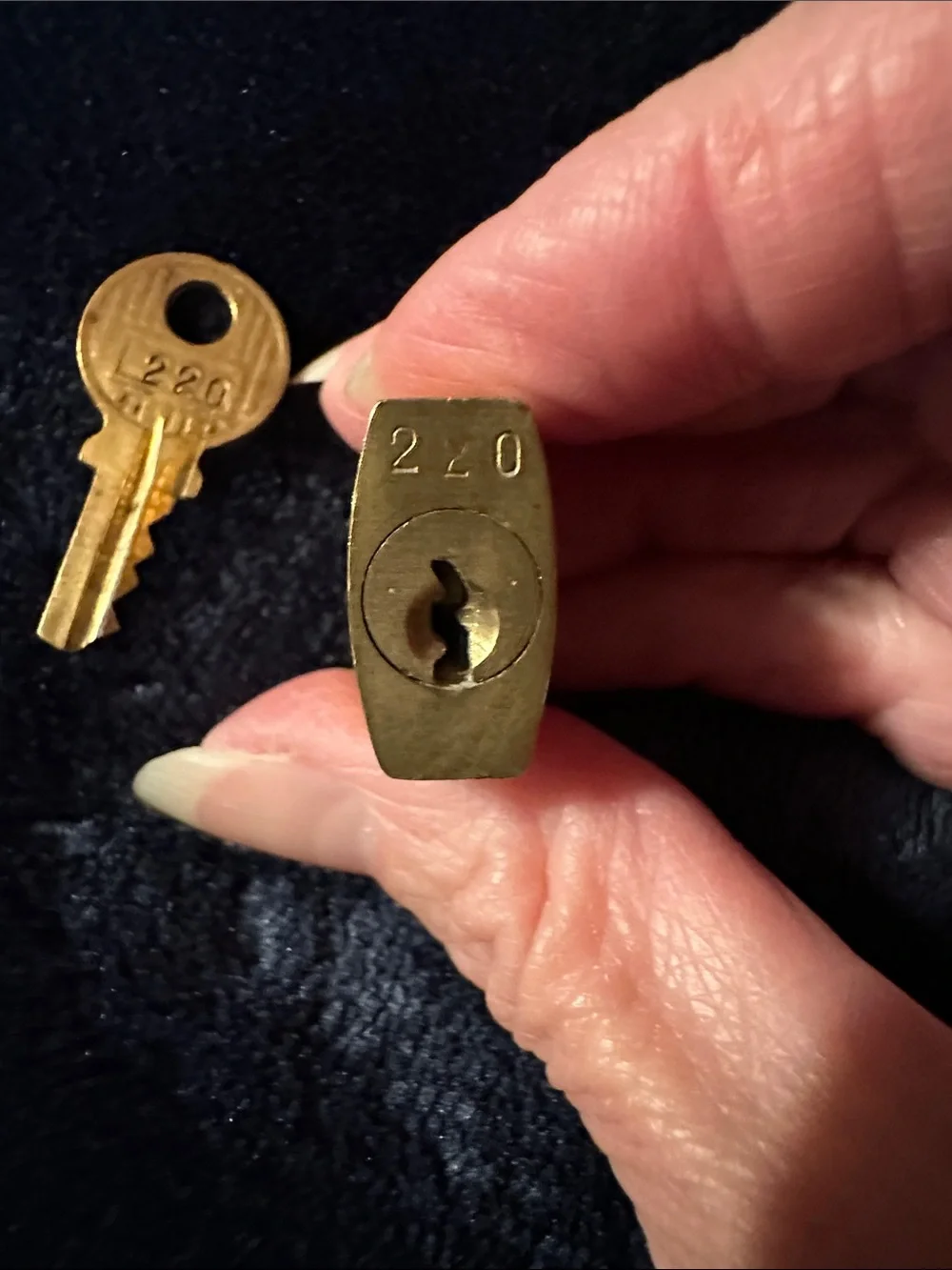 Rare Louis Vuitton Brass Gold Tone Padlock with Matching Key #220 Series